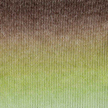 Afbeelding in Gallery-weergave laden, Scheepjes Stone Washed Flow