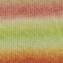 Afbeelding in Gallery-weergave laden, Scheepjes Stone Washed Flow XL