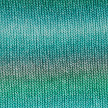 Afbeelding in Gallery-weergave laden, Scheepjes Stone Washed Flow XL