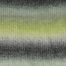 Afbeelding in Gallery-weergave laden, Scheepjes Stone Washed Flow XL