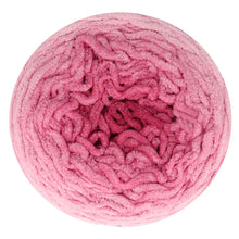 Afbeelding in Gallery-weergave laden, Scheepjes Big Darling 436 Beetle