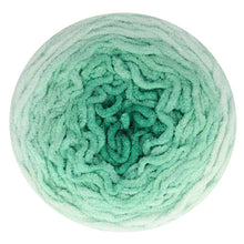 Afbeelding in Gallery-weergave laden, Scheepjes Big Darling 441 Turtle