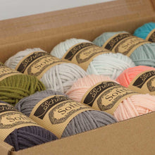 Afbeelding in Gallery-weergave laden, Scheepjes Softfun colour pack - 12x20g - Tropical Paradise