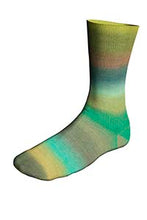 Afbeelding in Gallery-weergave laden, Lang Yarns Twin Soxx Merino Biotope Soxx