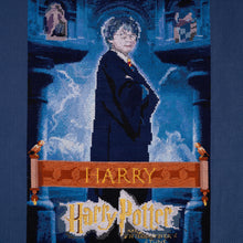 Afbeelding in Gallery-weergave laden, Pre-Order DMC Harry Potter Borduurkit Harry Poster