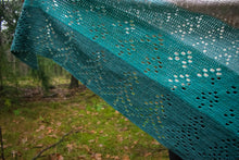 Afbeelding in Gallery-weergave laden, Garenpakket Dark Forest Shawl
