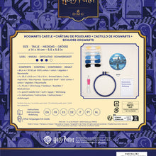 Afbeelding in Gallery-weergave laden, pre-order DMC punchneedle pakket Harry Potter Zweinstein