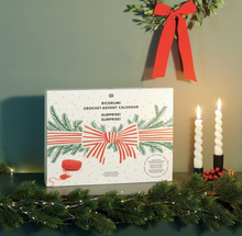 Afbeelding in Gallery-weergave laden, Pre-order Ricorumi Adventskalender