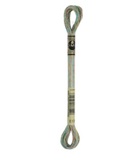 Afbeelding in Gallery-weergave laden, DMC Mouliné splijtzijde E nummers 8m