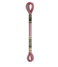 Afbeelding in Gallery-weergave laden, DMC Mouliné splijtzijde E nummers 8m