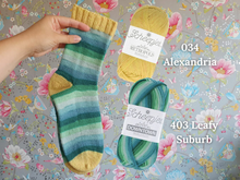Afbeelding in Gallery-weergave laden, Scheepjes Summer Sock a Long Carmen choice