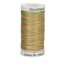 Afbeelding in Gallery-weergave laden, Gütermann Sulky Cotton 3O verloopgaren deel 2