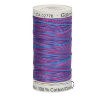 Afbeelding in Gallery-weergave laden, Gütermann Sulky Cotton 3O verloopgaren deel 2