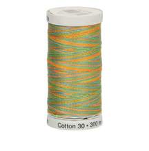 Afbeelding in Gallery-weergave laden, Gütermann Sulky Cotton 3O verloopgaren deel 2