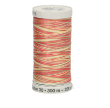 Afbeelding in Gallery-weergave laden, Gütermann Sulky Cotton 3O verloopgaren deel 2