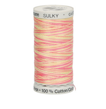 Afbeelding in Gallery-weergave laden, Gütermann Sulky Cotton 3O verloopgaren deel 2