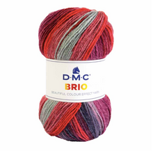 Afbeelding in Gallery-weergave laden, DMC Brio
