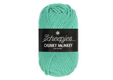 Afbeelding in Gallery-weergave laden, Chunky Monkey 1422 Aqua