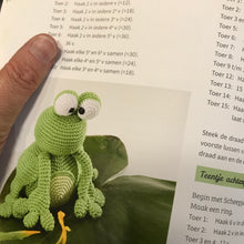 Afbeelding in Gallery-weergave laden, Een regenboog aan amigurumi's