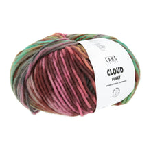 Afbeelding in Gallery-weergave laden, Lang Yarns Cloud - Funky
