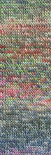 Afbeelding in Gallery-weergave laden, Wooladdicts Move sokkengaren
