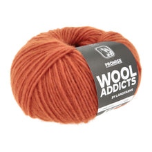 Afbeelding in Gallery-weergave laden, Wooladdicts Promise By Lang Yarns
