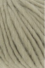 Afbeelding in Gallery-weergave laden, Nieuw! Naturalis Lang yarns

