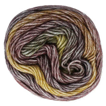 Afbeelding in Gallery-weergave laden, Scheepjes Stone Washed Flow
