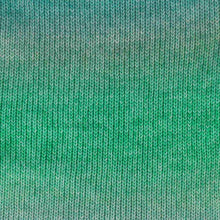 Afbeelding in Gallery-weergave laden, Scheepjes Stone Washed Flow
