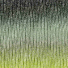 Afbeelding in Gallery-weergave laden, Scheepjes Stone Washed Flow
