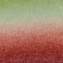 Afbeelding in Gallery-weergave laden, Scheepjes Stone Washed Flow
