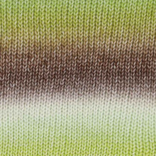 Afbeelding in Gallery-weergave laden, Scheepjes Stone Washed Flow XL
