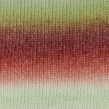 Afbeelding in Gallery-weergave laden, Scheepjes Stone Washed Flow XL
