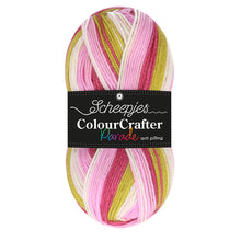 Afbeelding in Gallery-weergave laden, Scheepjes Colour crafter parade
