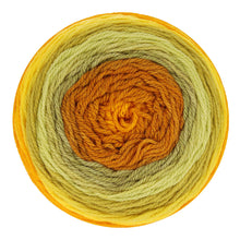 Afbeelding in Gallery-weergave laden, Scheepjes Colour Crafter Cake 1x175g
