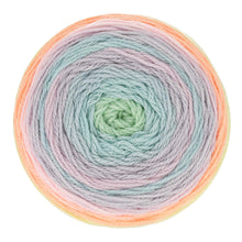 Afbeelding in Gallery-weergave laden, Scheepjes Colour Crafter Cake 1x175g
