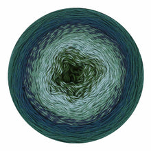 Afbeelding in Gallery-weergave laden, Scheepjes Cotton Whirl
