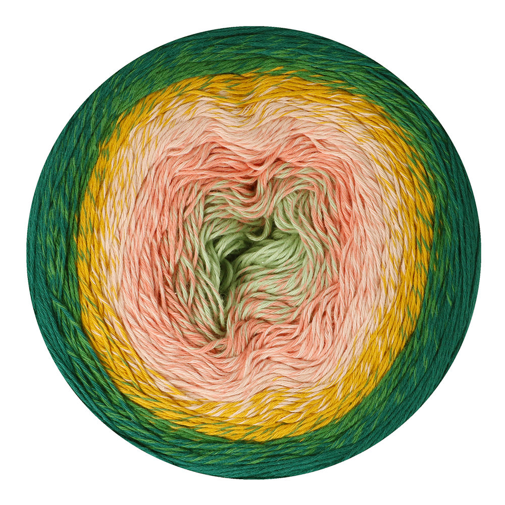 Scheepjes Cotton Whirl  732 Colour Me Crafty