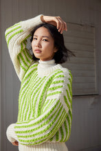 Afbeelding in Gallery-weergave laden, WoolAddicts 17
