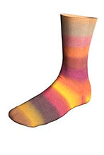 Afbeelding in Gallery-weergave laden, Lang Yarns Twin Soxx Merino Biotope Soxx
