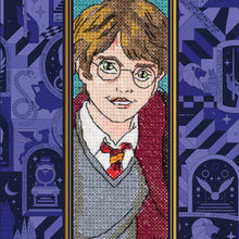 Afbeelding in Gallery-weergave laden, Pre-order DMC Harry Potter Borduurkit boekenlegger - Harry
