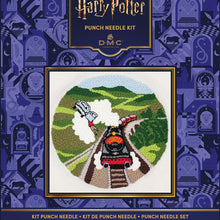 Afbeelding in Gallery-weergave laden, Pre-order DMC punchneedle pakket Harry Potter vliegende auto
