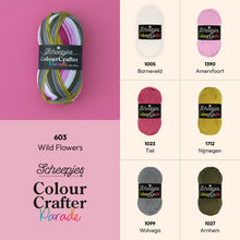 Afbeelding in Gallery-weergave laden, Scheepjes Colour crafter parade
