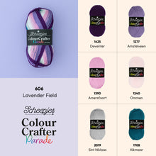 Afbeelding in Gallery-weergave laden, Scheepjes Colour crafter parade

