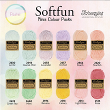 Afbeelding in Gallery-weergave laden, Scheepjes Softfun colourpack pastel
