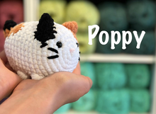 Afbeelding in Gallery-weergave laden, DIY Haakpakket  Poppy
