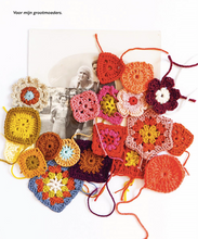 Afbeelding in Gallery-weergave laden, Boek Workshop Granny squares.
