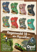 Afbeelding in Gallery-weergave laden, Opal Regenwald 18 - 6 draads sokkenwol
